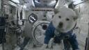 Paper Planet Banner