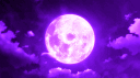 MDL STORE┃#30k banner