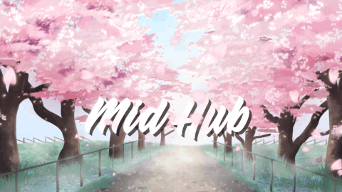 MidHub banner