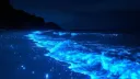 7HeaVen™. 🫧  | chill . social . pfp banner