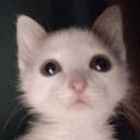 𝓢𝓸𝓾𝓵 Banner