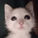 𝓢𝓸𝓾𝓵 Banner