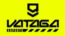 VATAGA ESPORTS banner