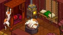 Zann en Habbo banner