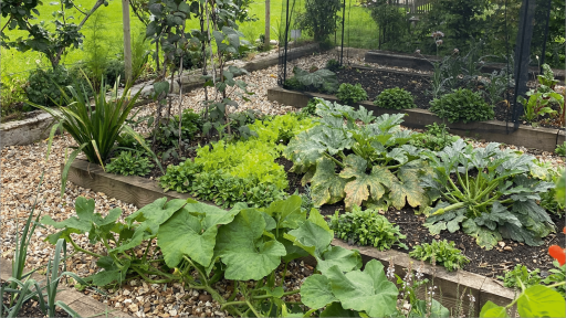 Veggie Discord server banner