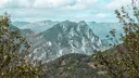 Android Discord banner