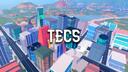 TECS Banner