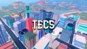 TECS server banner