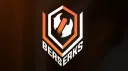 Berserks E-sport banner
