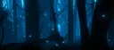 Noelle's Nocturnals banner