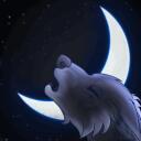 Mondschein Rudel Banner