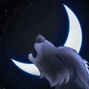 Mondschein Rudel banner
