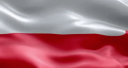 Polish Community v2 Banner