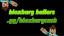 bloxburg ballers banner