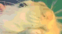 Ratland banner