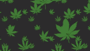 The Sesh Shed Discord server banner