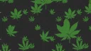 The Sesh Shed Discord server banner