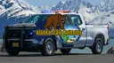 Star Interactive Productions™ server banner