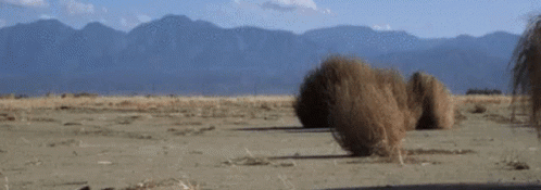 Giggle's Discord Banner image