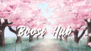 Boost Hub banner