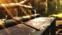 banner