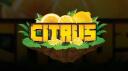 Citrus Banner