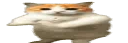 Thursday Night Tango Discord server banner