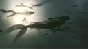 Hells Deep [18+] Banner