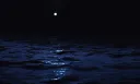 𝐁𝐥𝐮𝐞 𝐍𝐢𝐠𝐡𝐭 banner