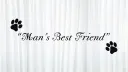 Timeless Productions banner
