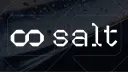 Salt AI banner
