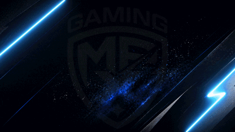 TEAM MPX banner