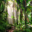 Monkey Outerspace 18+ ONLY Discord server banner