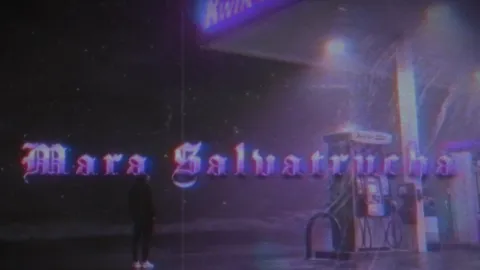 Mara Salvatrucha banner