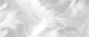 rix lineage banner