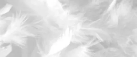 rix lineage banner