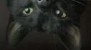 Zzz  social Banner