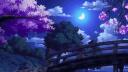 𝕹Ⱥ𝕵 Banner