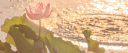 ⟢ ˚.   Lotus Modelling  ⊹   ❜ .ᐟ server banner