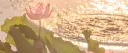 ⟢ ˚. Lotus Modelling ⊹ ❜ .ᐟ Discord server banner