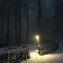 ⋆˚࿔ shrouded forests ꩜ .ᐟ⋆ Banner