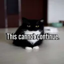 cattos Discord server banner