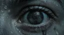 The Haven banner