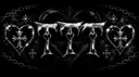 TEAM TOXIC TORI 🖤 banner