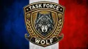 Task Force Wolf banner