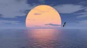 Horizon banner