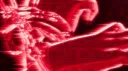 KANTKO Discord server banner