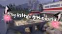 🔞 tiny kitty's girl pound banner