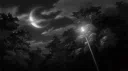 𝔲𝔫𝔦𝔱𝔶 server banner