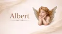 Albert banner